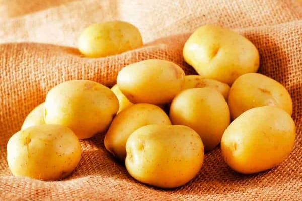 سیب زمینی فارس خرید